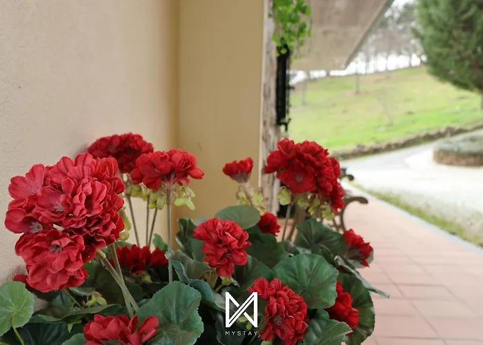 Mystay - Casa Pereira Soeima بيت للعطل *